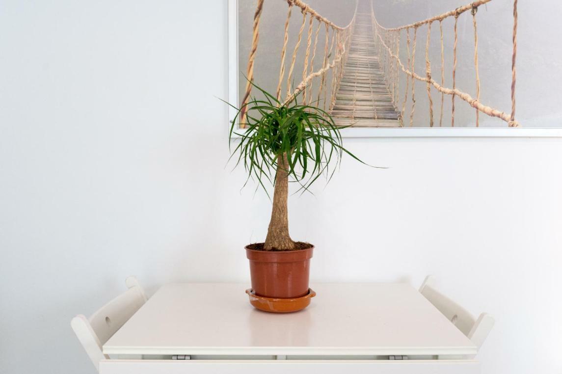 Ml1C-Prime Location Marble Apartment With Patios Málaga Dış mekan fotoğraf